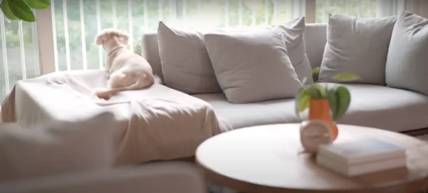 How to Clean Your Whole House Fast: Get Sparkling Fast!
