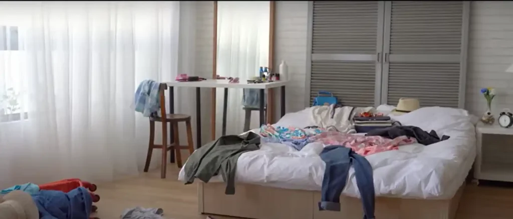 Cleaning Service for very Dirty House