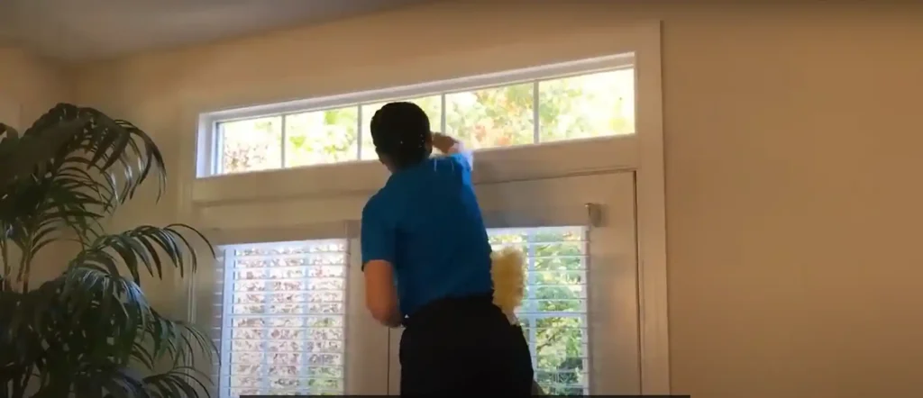 Does Glass Cleaner Have Ammonia?