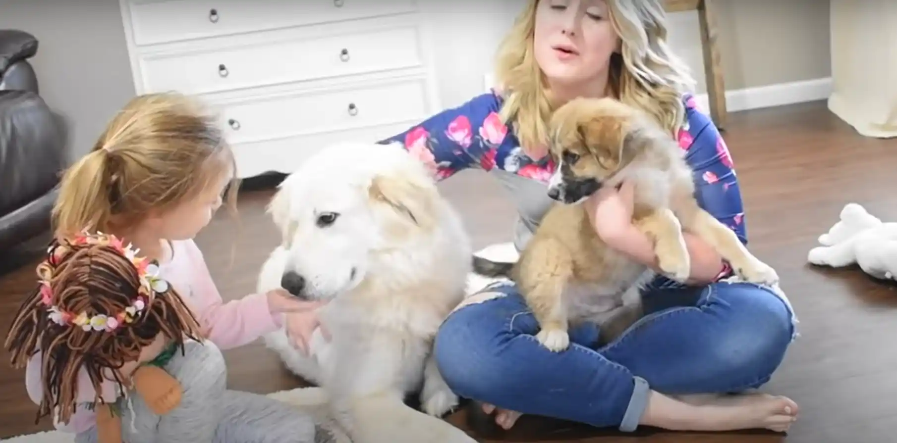 how to get dog hair out of the carpet